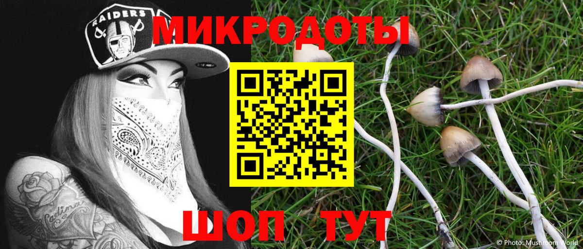Псилоцибиновые грибы ЛСД Нарьян-Мар